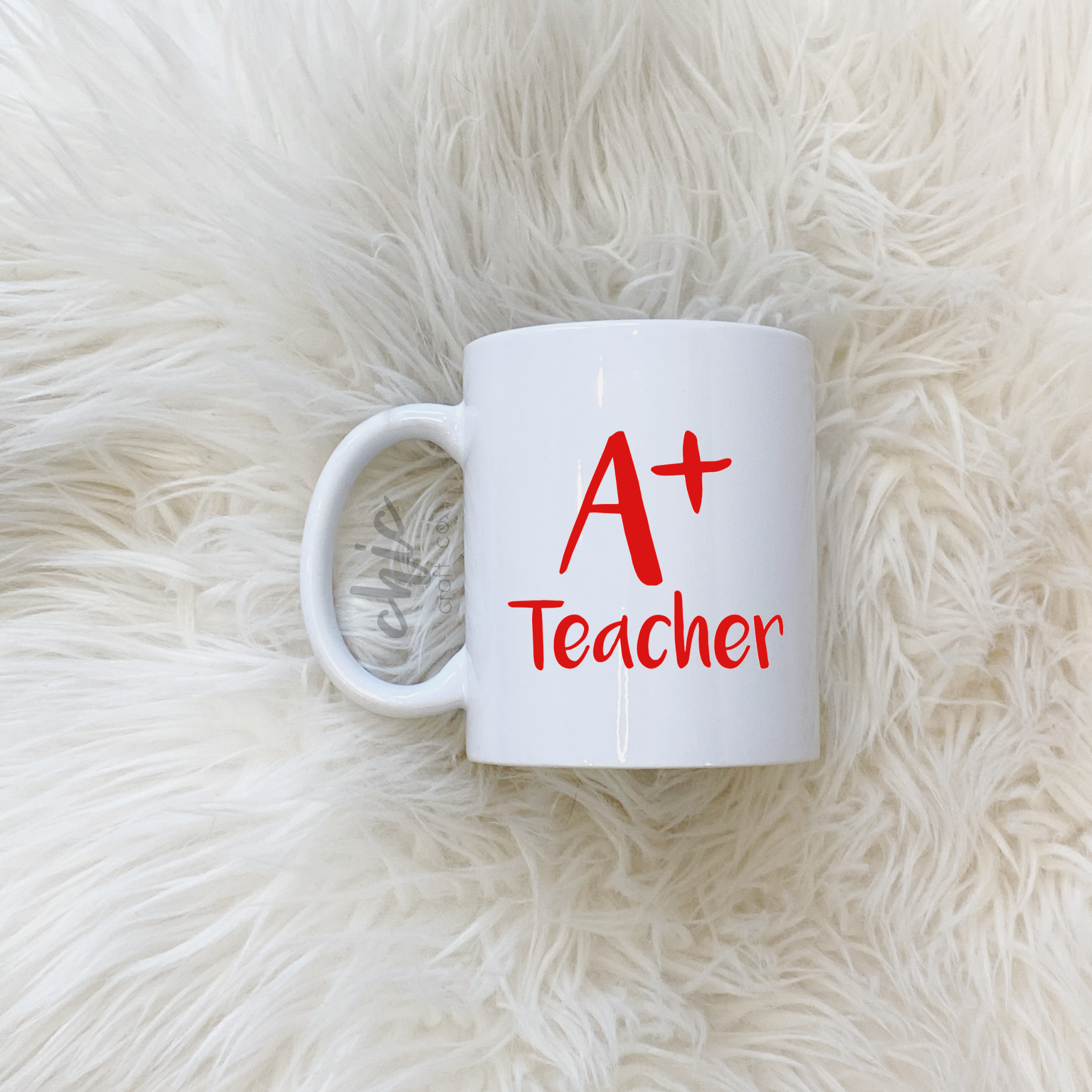 A+ Teacher